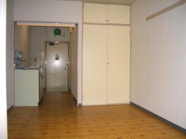 Living and room. There is a big closet