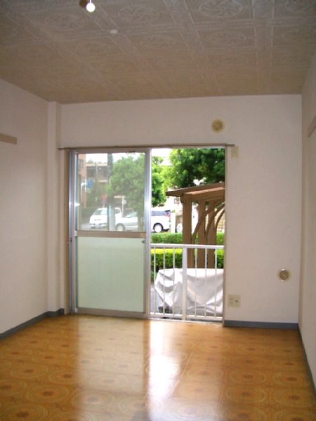 Living and room. Bright room