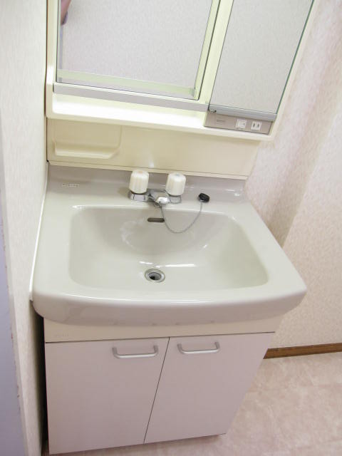 Washroom. Independent wash basin.