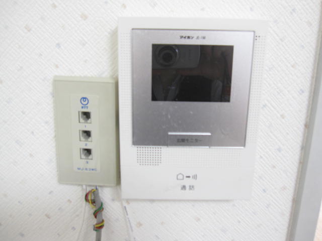 Security. A life of peace of mind in the TV monitor with intercom
