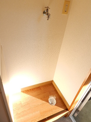 Other room space. Laundry Area