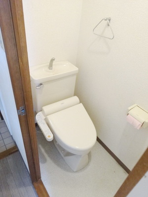 Toilet. Warm water washing toilet seat