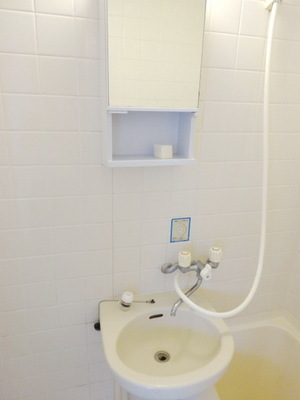 Washroom. There washbasin