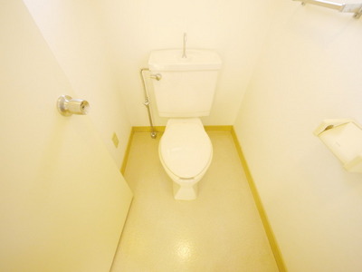 Toilet. Toilet