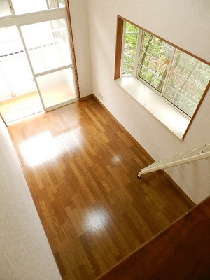 Living and room. From loft