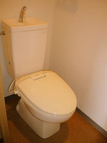 Toilet. Glad to winter warm toilet