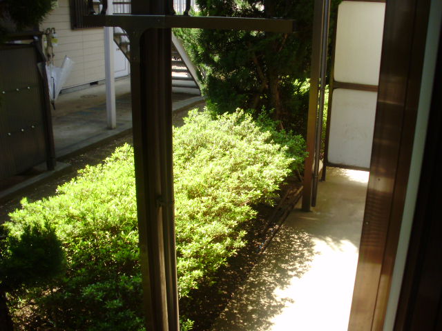 Balcony. Veranda