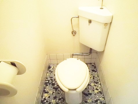 Toilet. Toilet