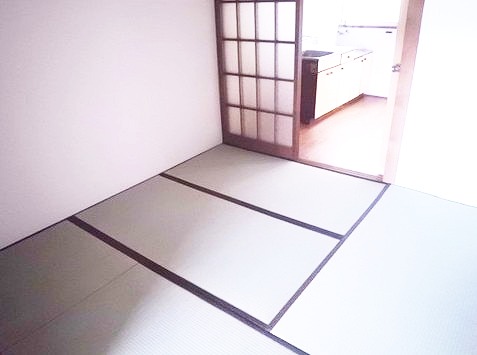 Living and room. Interior