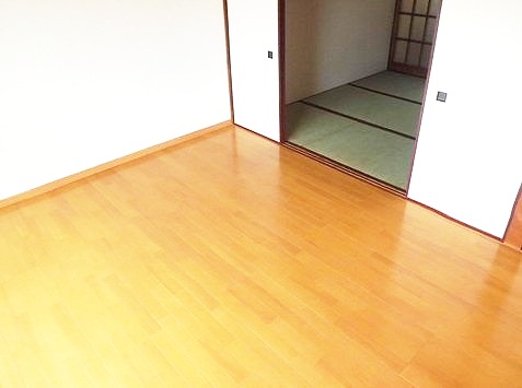 Living and room. Interior