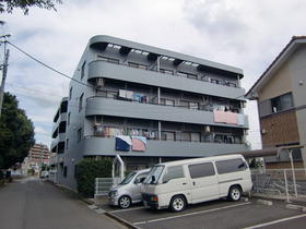 Building appearance
