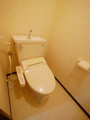 Toilet. Toilet