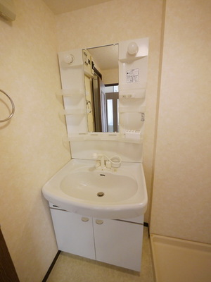 Washroom. Independent wash basin