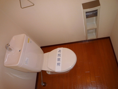 Toilet. Toilet with cleanliness