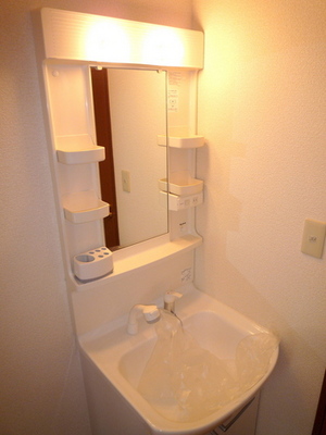 Washroom. Independent wash basin