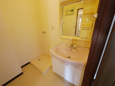 Washroom. Washbasin with shower