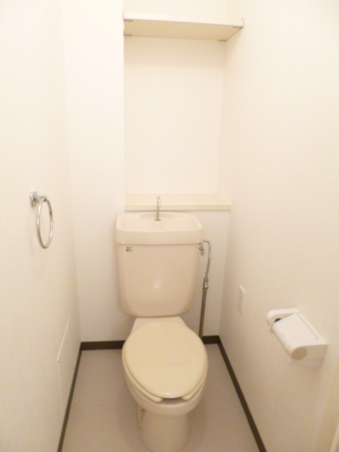 Toilet. There is in the upper shelf accessories is put, Convenient