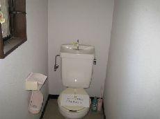 Toilet. Indoor (12 May 2013) Shooting