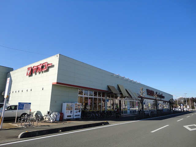 Supermarket. Yaoko Co., Ltd. solitary pine tree Minamiten to (super) 1162m