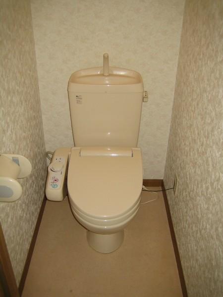 Toilet. It comes with a bidet ~