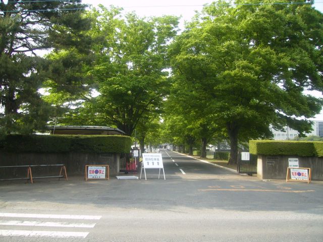 Other. 2300m to Toyo University Kawagoe campus (Other)