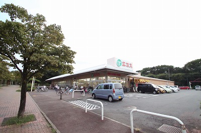 Supermarket. Ecos Tairaya Corporation Kawatsuru store up to (super) 771m