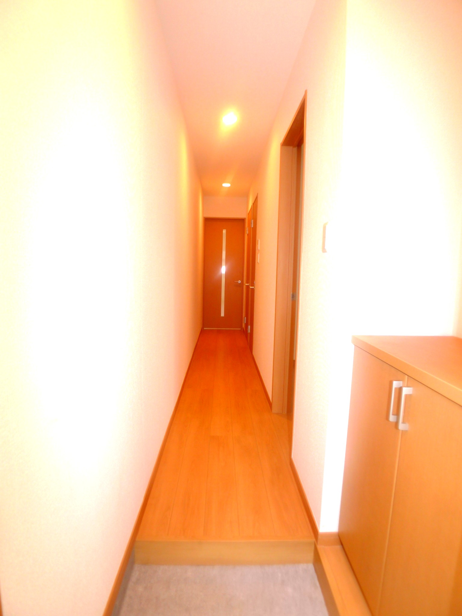 Entrance. Wide corridor