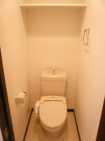 Toilet. With warm water washing toilet seat