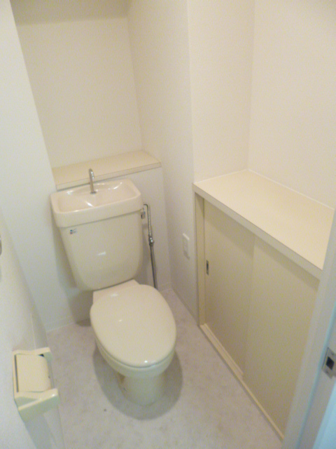 Toilet. It is convenient because there is a shelf