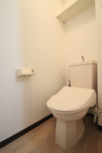 Toilet. There is also a shelf in toilet! Unexpectedly convenient
