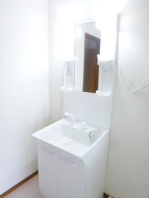 Washroom. It comes with shampoo dresser