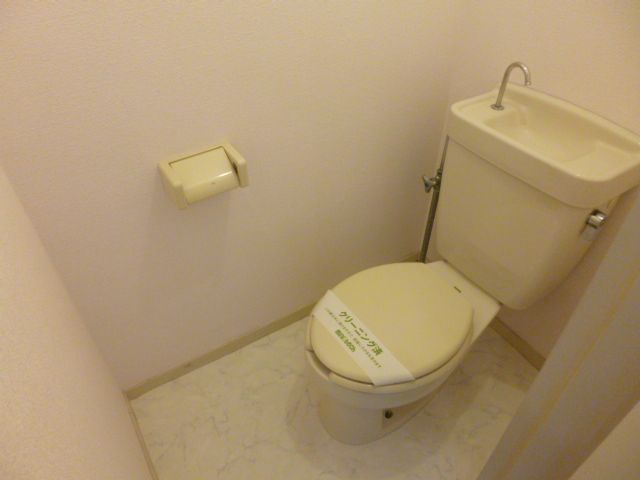 Toilet. Is a beautiful toilet in which the white tones. 