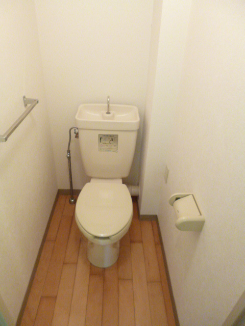 Toilet. Spread of toilet