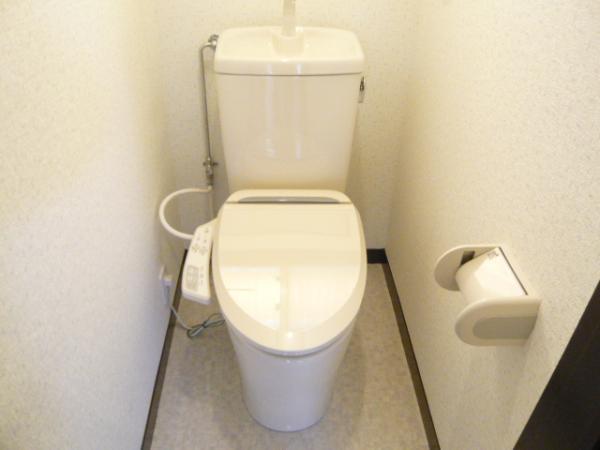 Toilet. Neat new cleaning function toilet