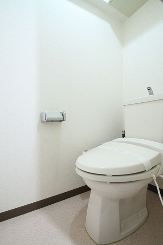 Toilet. Toilet with a convenient warm water washing toilet seat