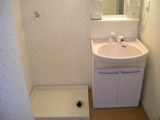 Washroom. Basin cabinet