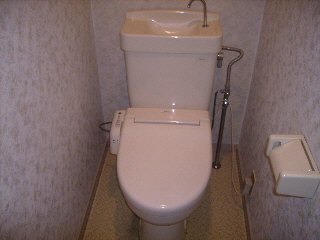 Toilet