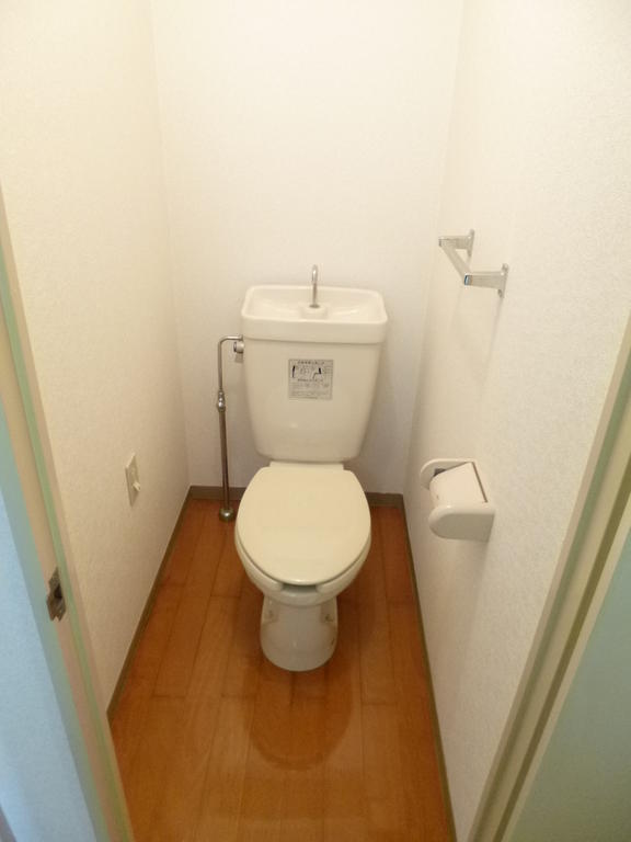 Toilet. It is a toilet with a shelf.