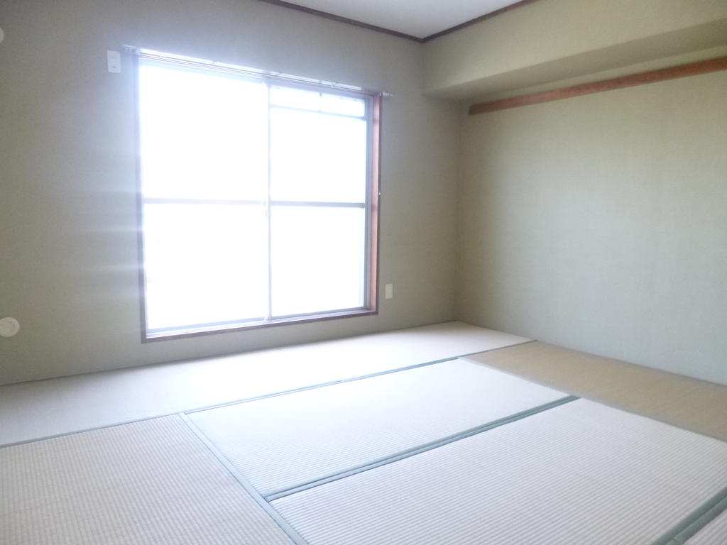 Living and room. I think you healed me tatami rooms.