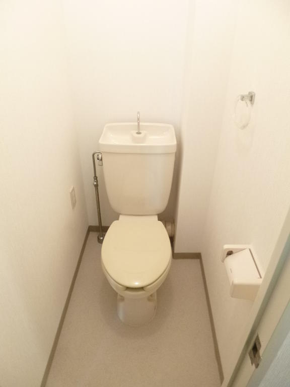Toilet. Clean space in which the white tones