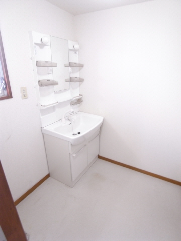 Washroom. Wash basin Indoor Laundry Storage
