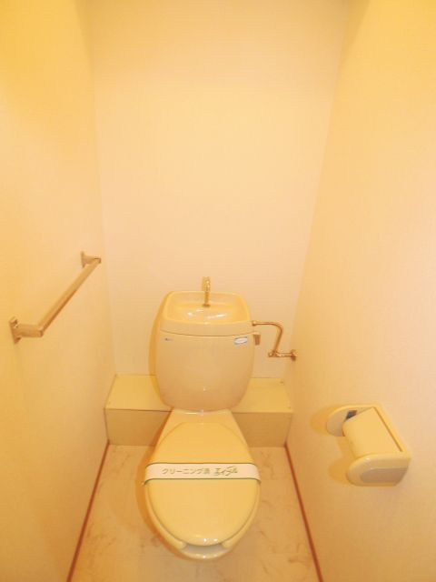 Toilet. Pre-cleaning