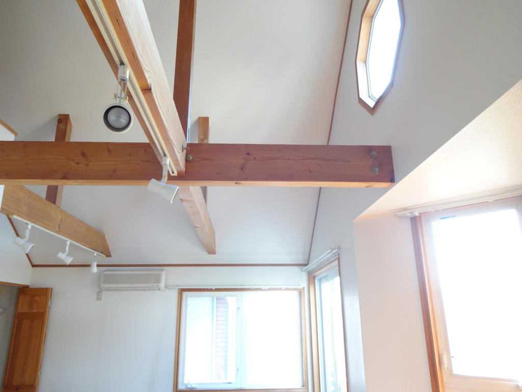 Kitchen. Stylish downlight. This room of the start of light