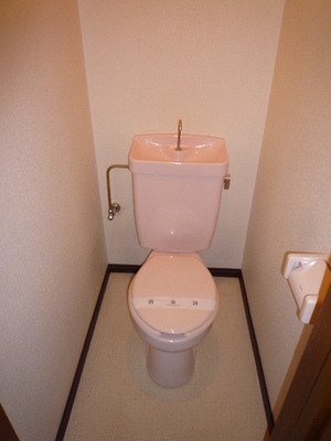 Toilet. In fact, it is the most settled rather than location