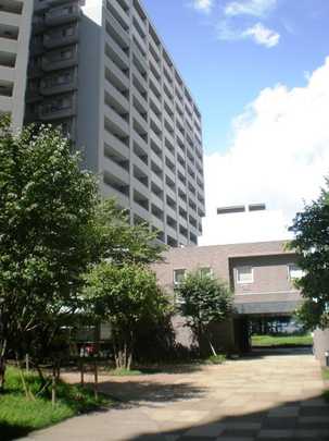 Local appearance photo. Mansion appearance