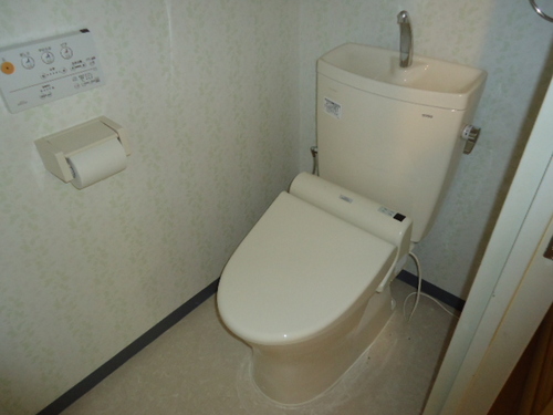 Toilet. Toilet