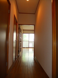 Entrance. Corridor