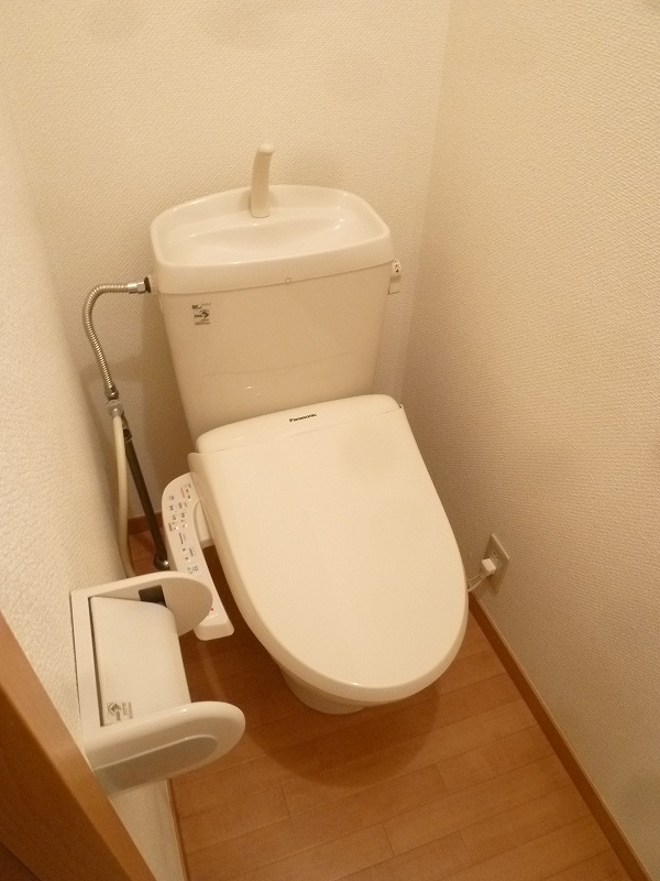 Toilet. Shower toilet