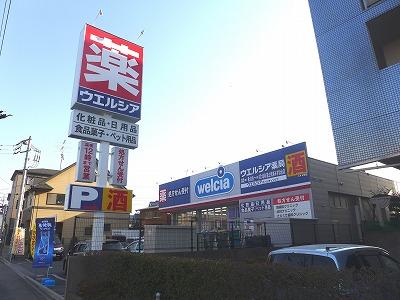 Drug store. Uerushia Asaka until Negishidai shop 1010m