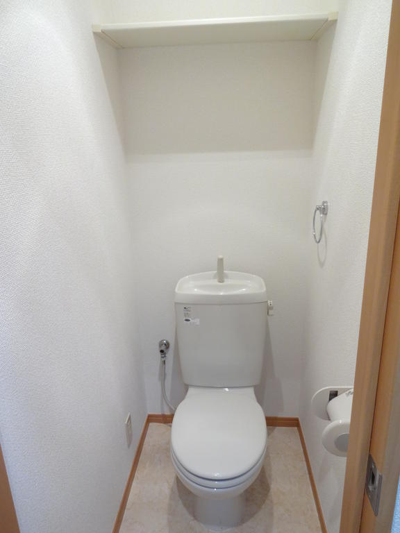 Toilet. There is the upper storage shelves